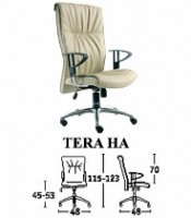 Kursi Direktur Classic Savello Tera HA